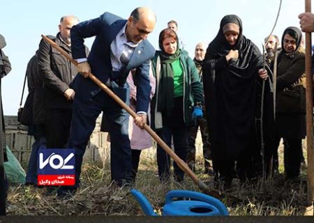 کاشت درخت شرط صدور پایان کار ساختمانی در گیلان