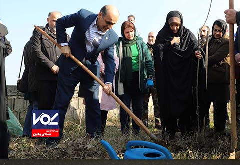 کاشت درخت شرط صدور پایان کار ساختمانی در گیلان